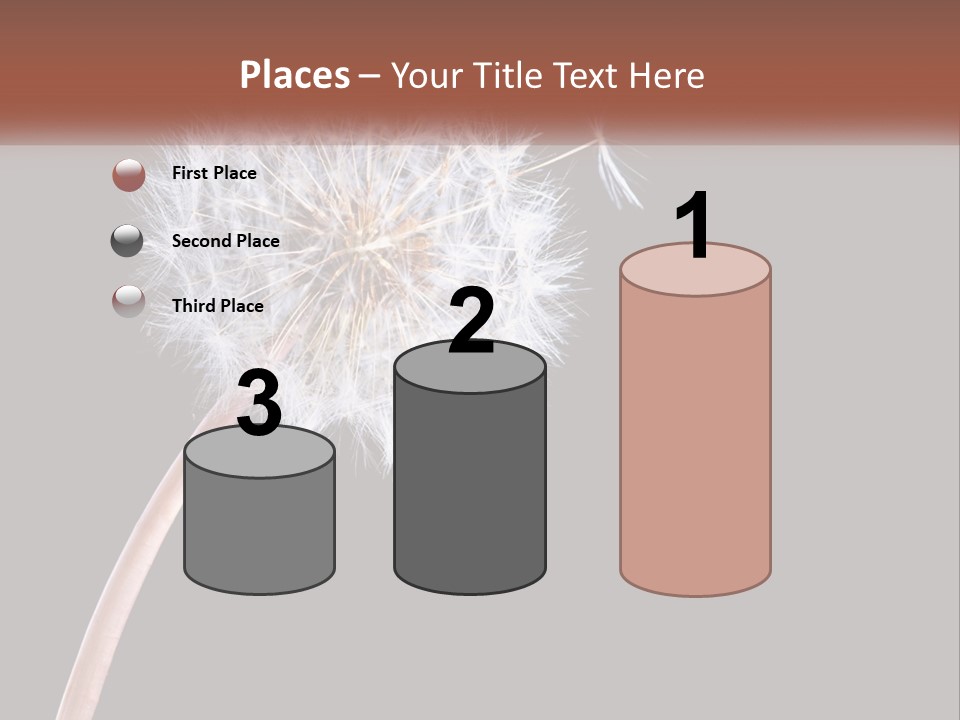 A Dandelion Powerpoint Presentation With A Black Background PowerPoint Template