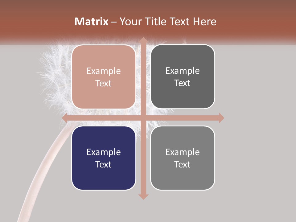 A Dandelion Powerpoint Presentation With A Black Background PowerPoint Template