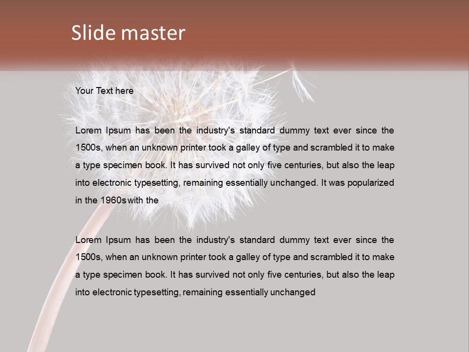 A Dandelion Powerpoint Presentation With A Black Background PowerPoint Template