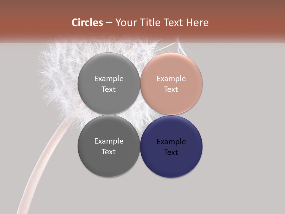 A Dandelion Powerpoint Presentation With A Black Background PowerPoint Template