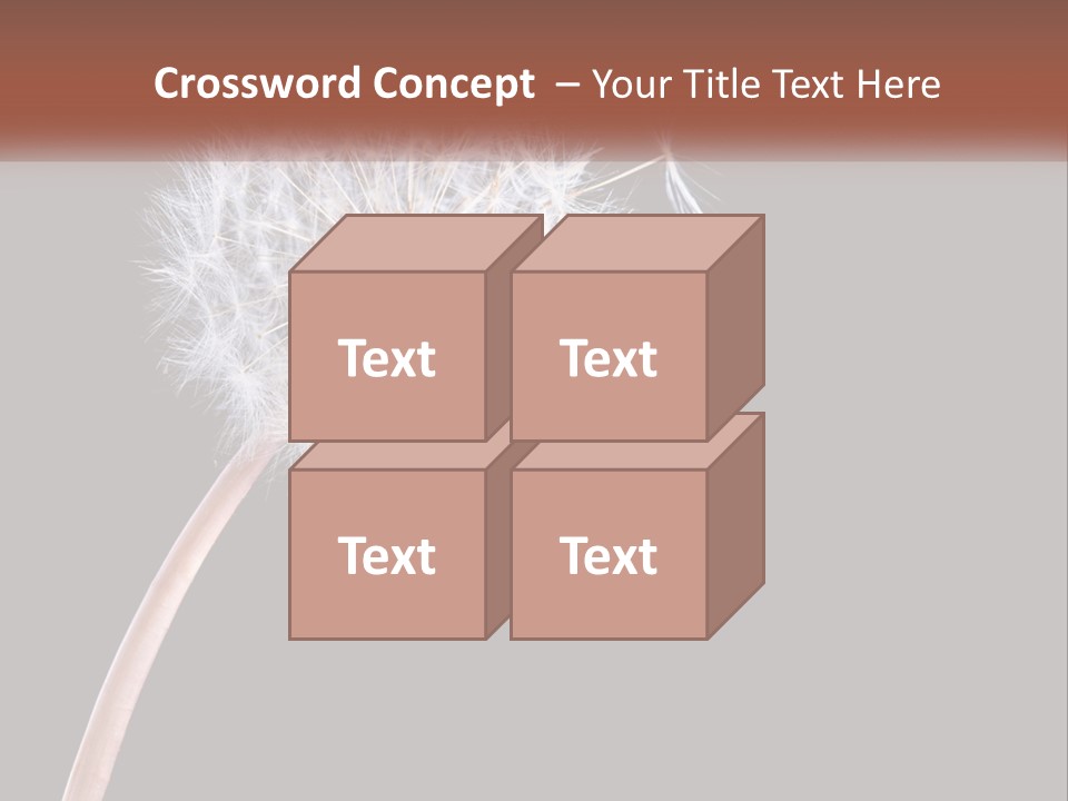 A Dandelion Powerpoint Presentation With A Black Background PowerPoint Template