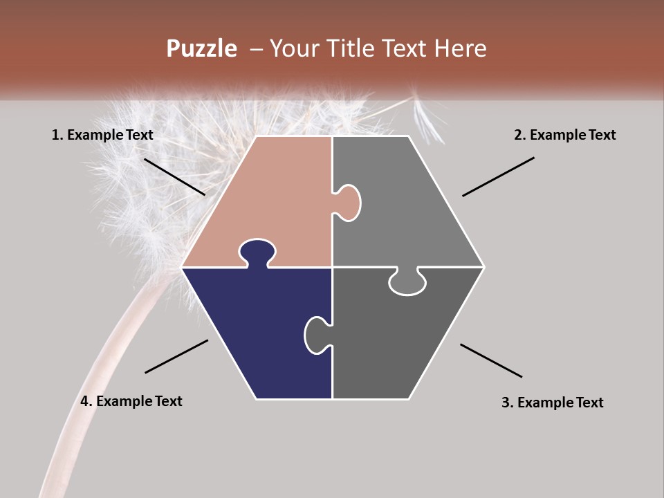 A Dandelion Powerpoint Presentation With A Black Background PowerPoint Template