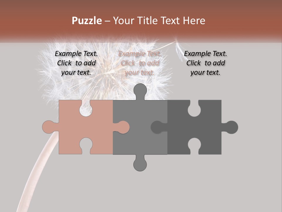 A Dandelion Powerpoint Presentation With A Black Background PowerPoint Template