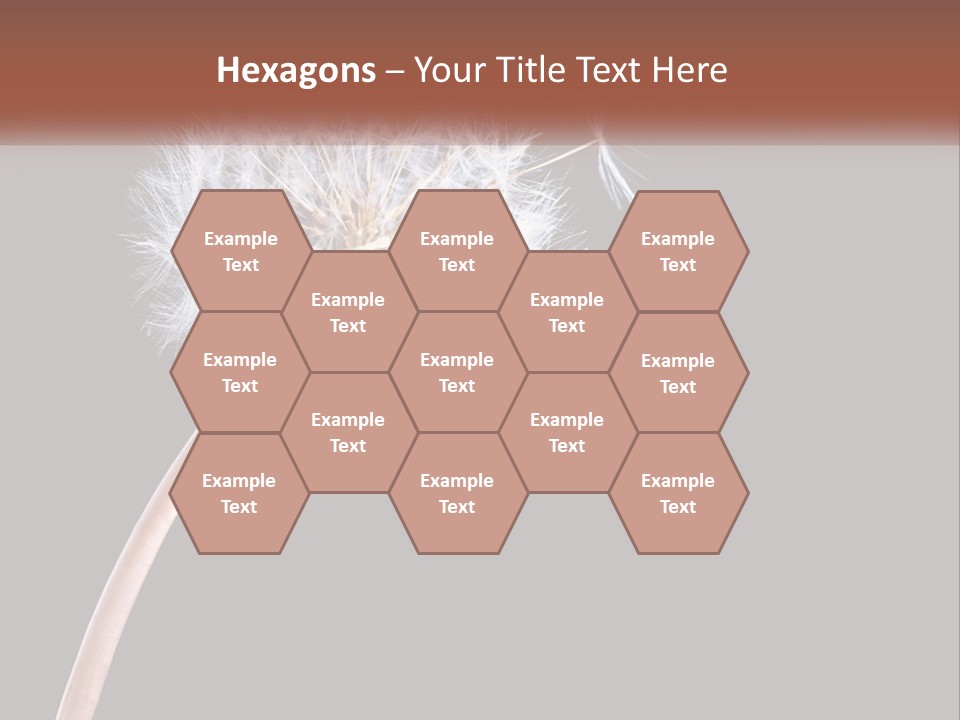 A Dandelion Powerpoint Presentation With A Black Background PowerPoint Template