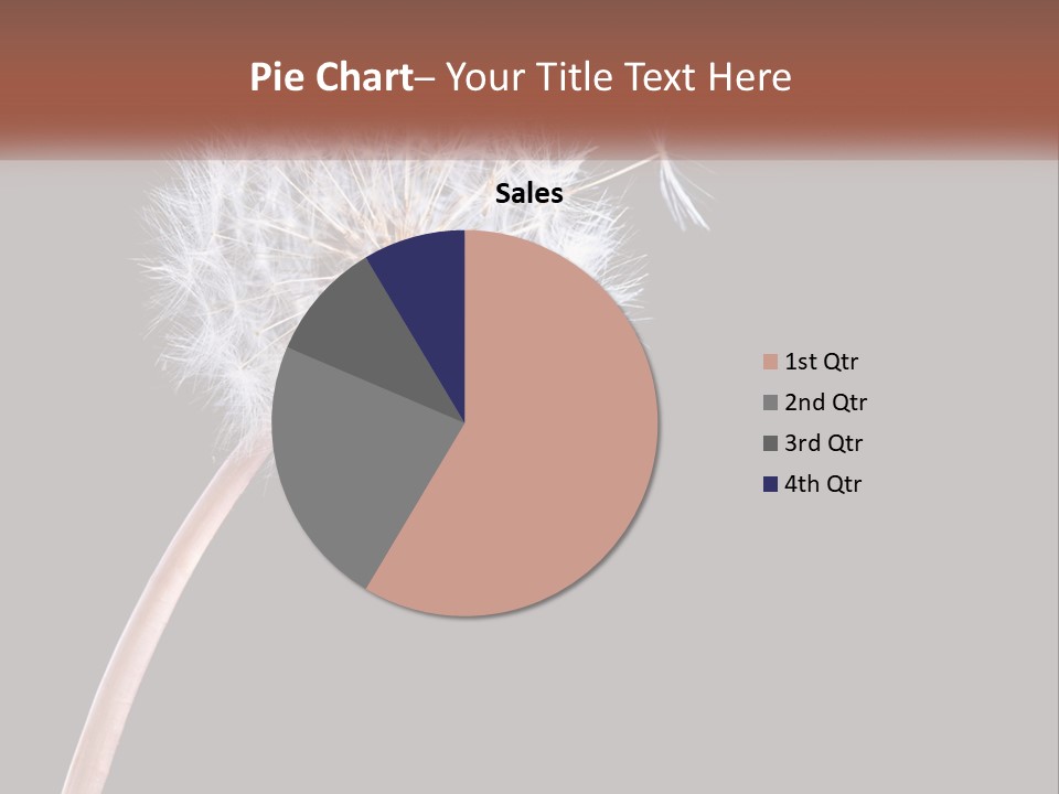 A Dandelion Powerpoint Presentation With A Black Background PowerPoint Template