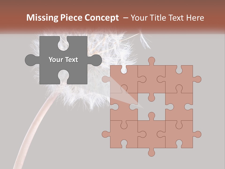 A Dandelion Powerpoint Presentation With A Black Background PowerPoint Template