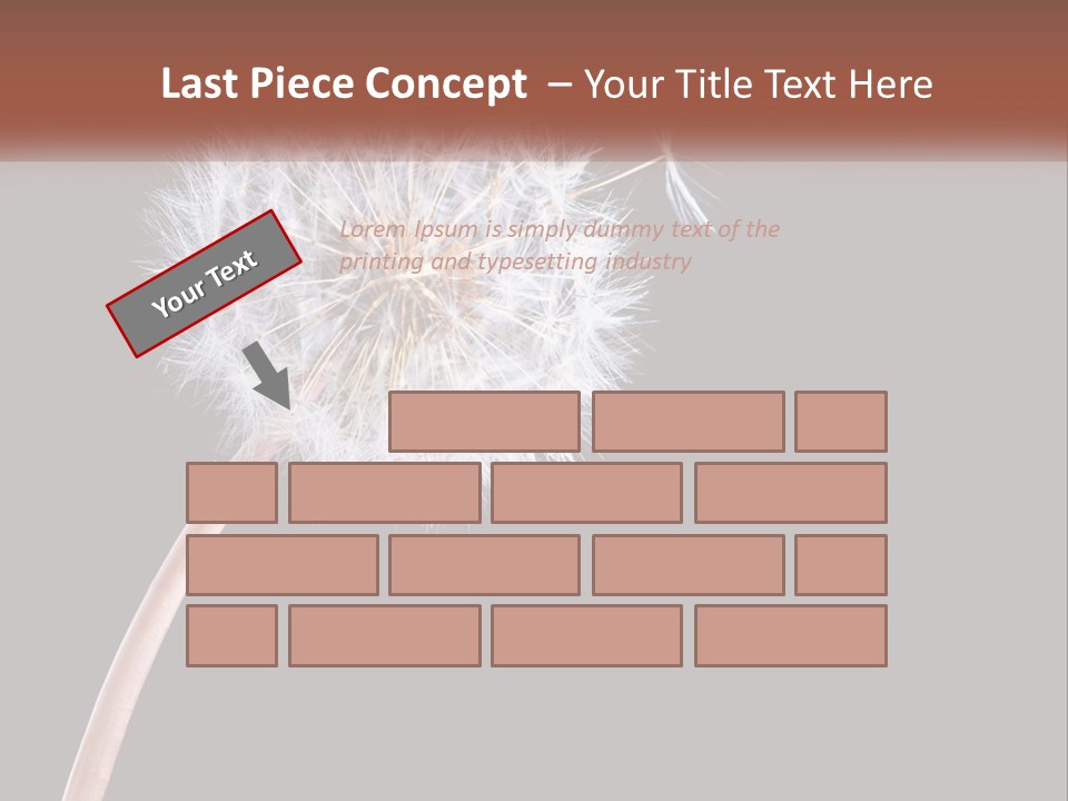 A Dandelion Powerpoint Presentation With A Black Background PowerPoint Template