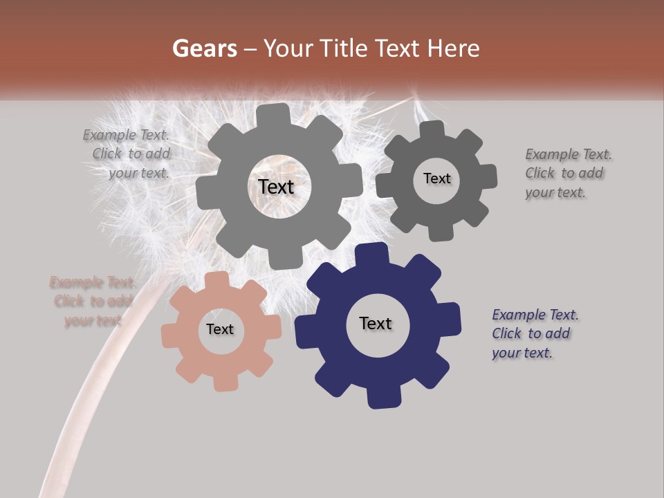 A Dandelion Powerpoint Presentation With A Black Background PowerPoint Template