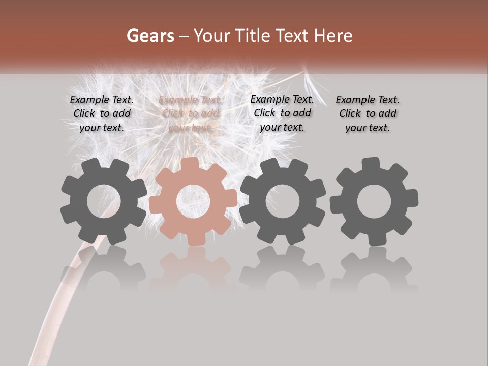 A Dandelion Powerpoint Presentation With A Black Background PowerPoint Template