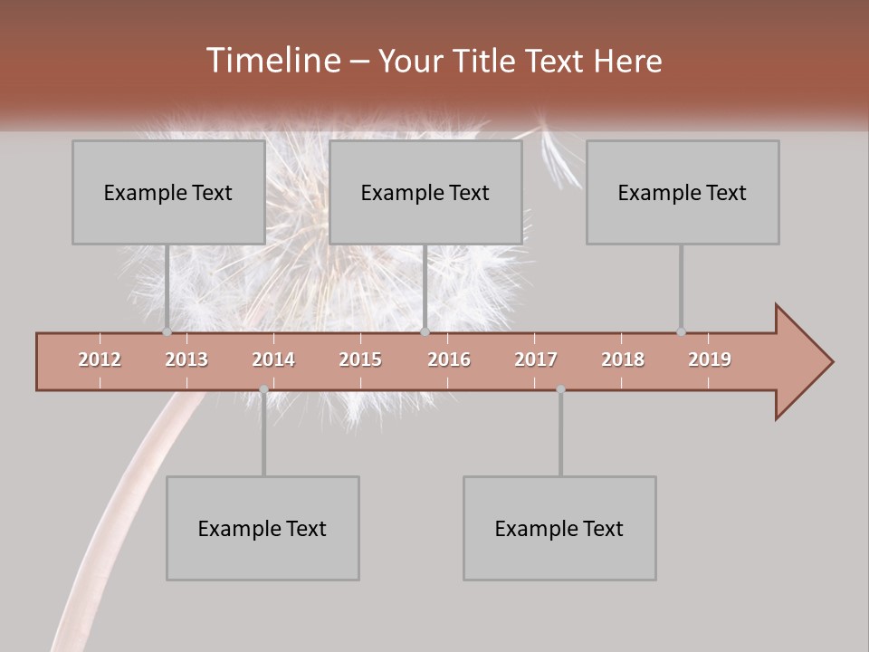 A Dandelion Powerpoint Presentation With A Black Background PowerPoint Template