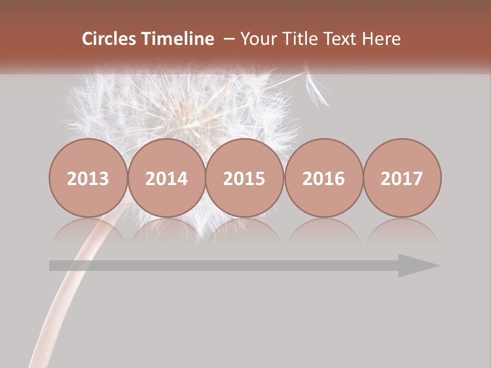 A Dandelion Powerpoint Presentation With A Black Background PowerPoint Template