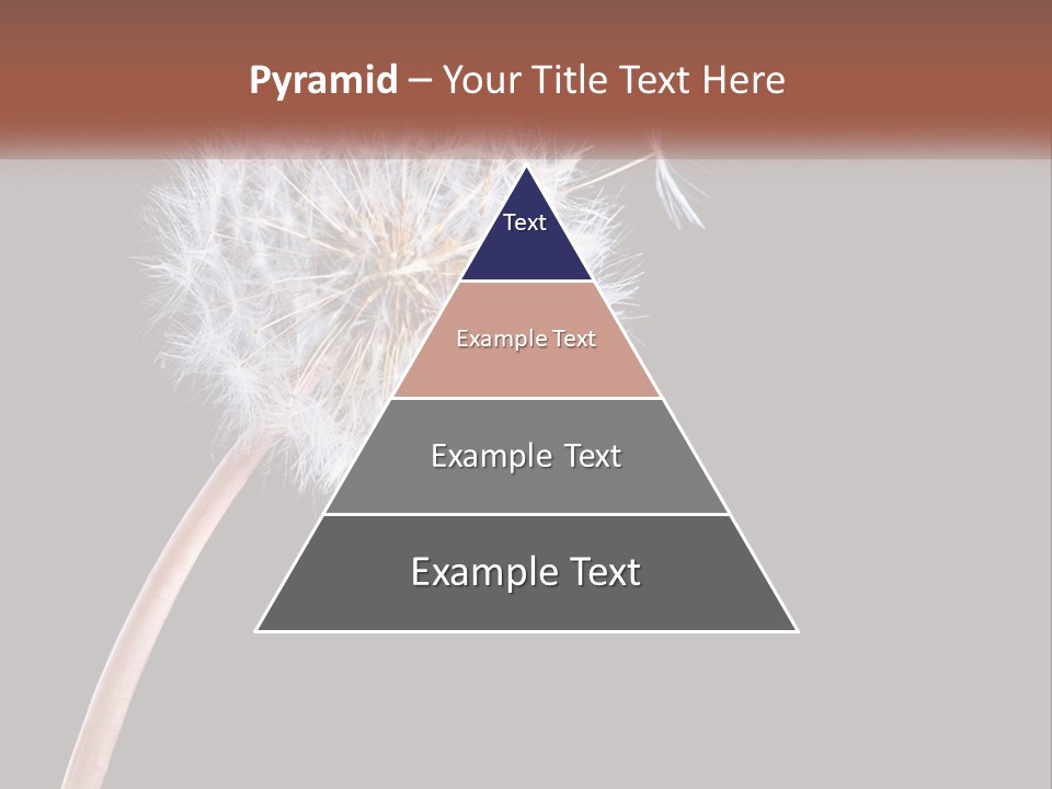 A Dandelion Powerpoint Presentation With A Black Background PowerPoint Template