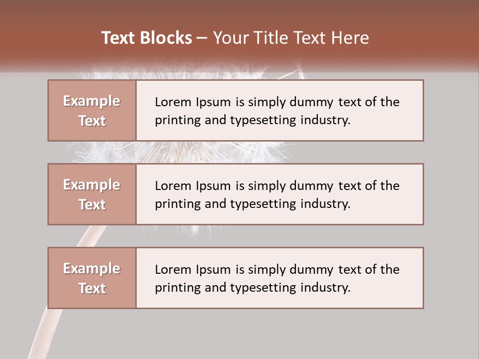 A Dandelion Powerpoint Presentation With A Black Background PowerPoint Template
