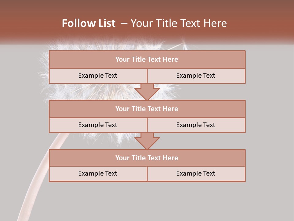 A Dandelion Powerpoint Presentation With A Black Background PowerPoint Template