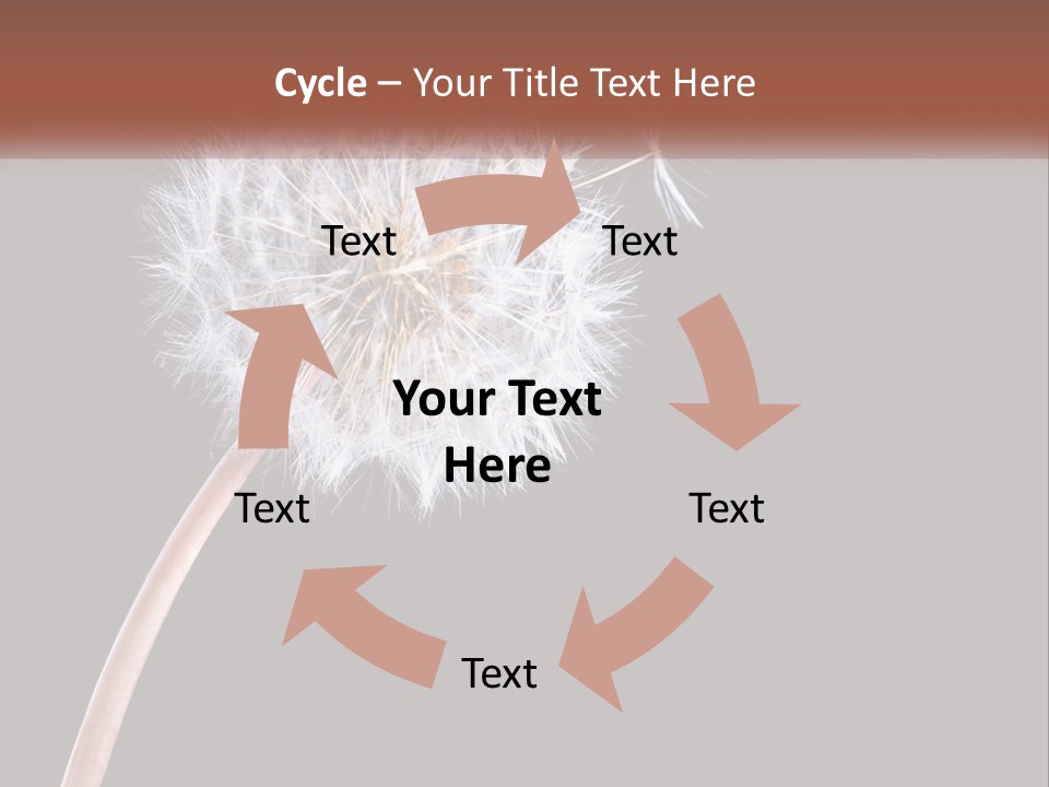 A Dandelion Powerpoint Presentation With A Black Background PowerPoint Template