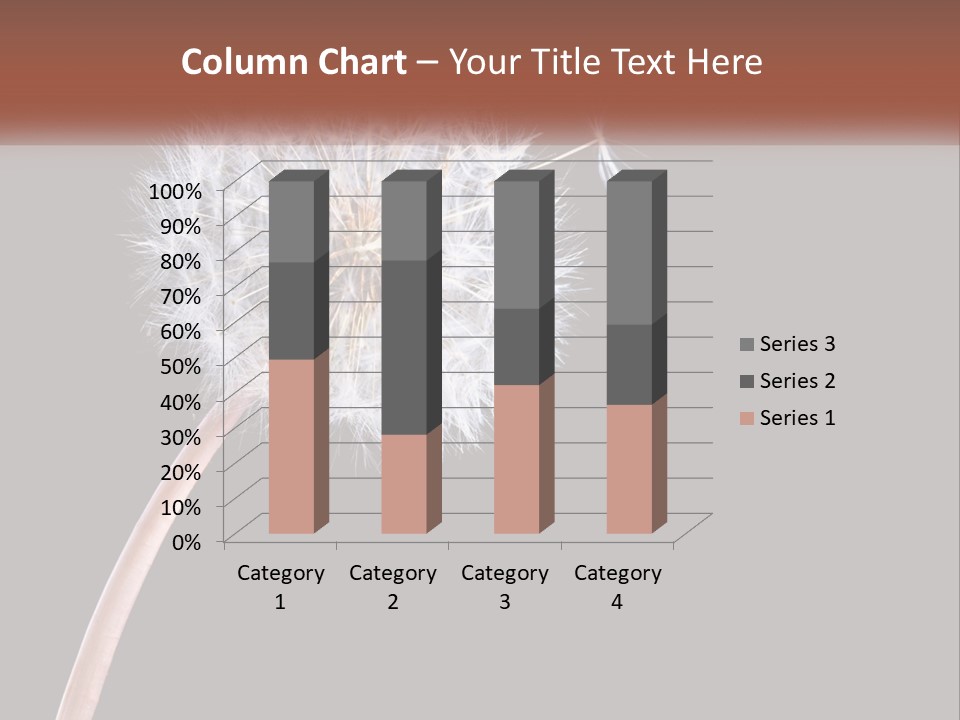 A Dandelion Powerpoint Presentation With A Black Background PowerPoint Template