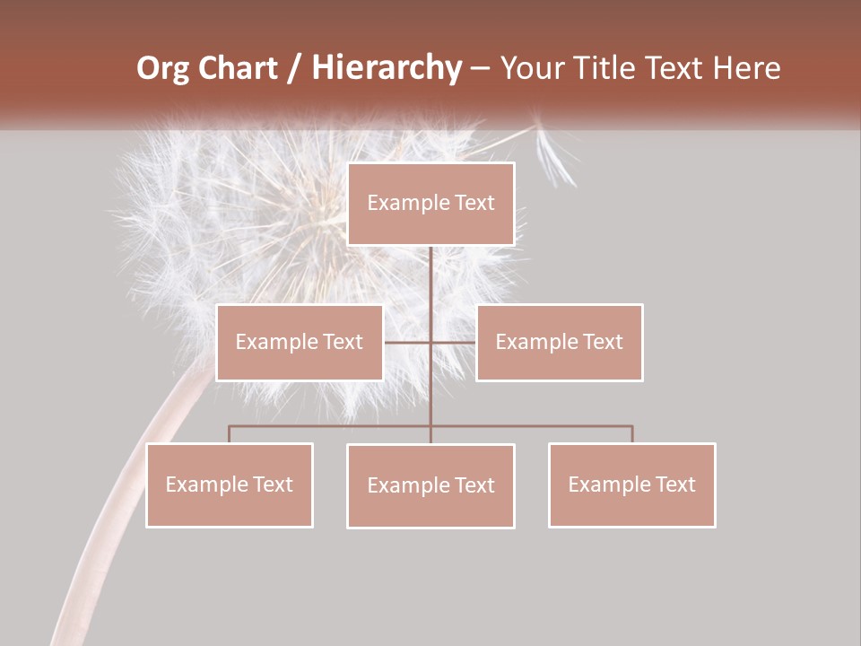 A Dandelion Powerpoint Presentation With A Black Background PowerPoint Template