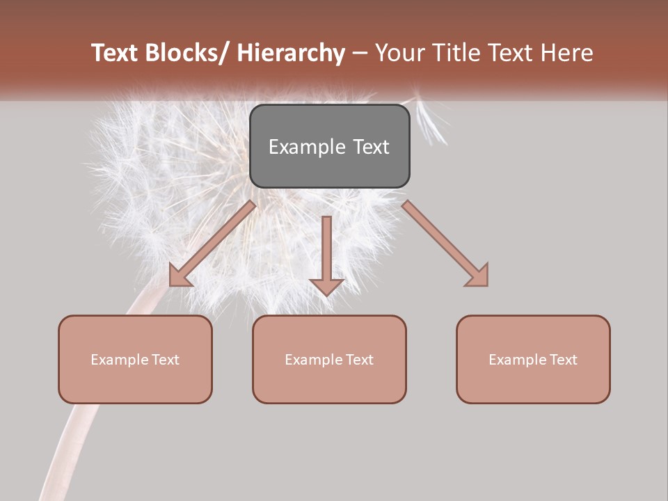 A Dandelion Powerpoint Presentation With A Black Background PowerPoint Template