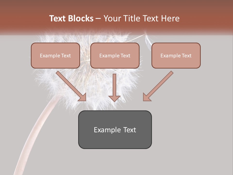 A Dandelion Powerpoint Presentation With A Black Background PowerPoint Template