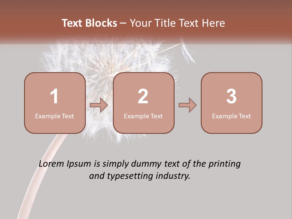 A Dandelion Powerpoint Presentation With A Black Background PowerPoint Template
