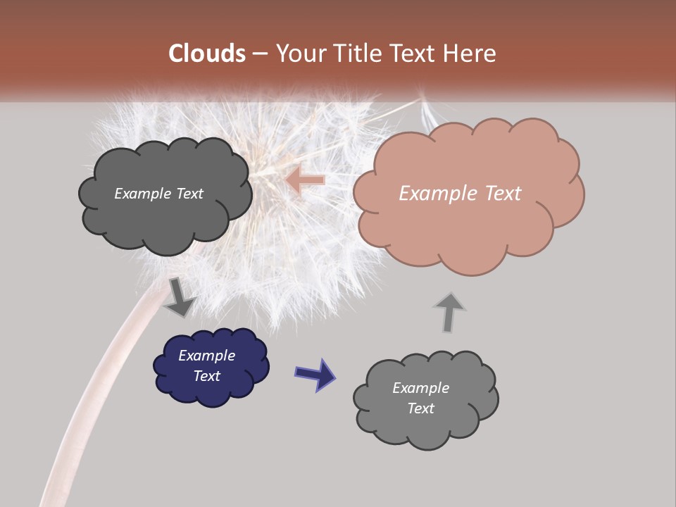 A Dandelion Powerpoint Presentation With A Black Background PowerPoint Template