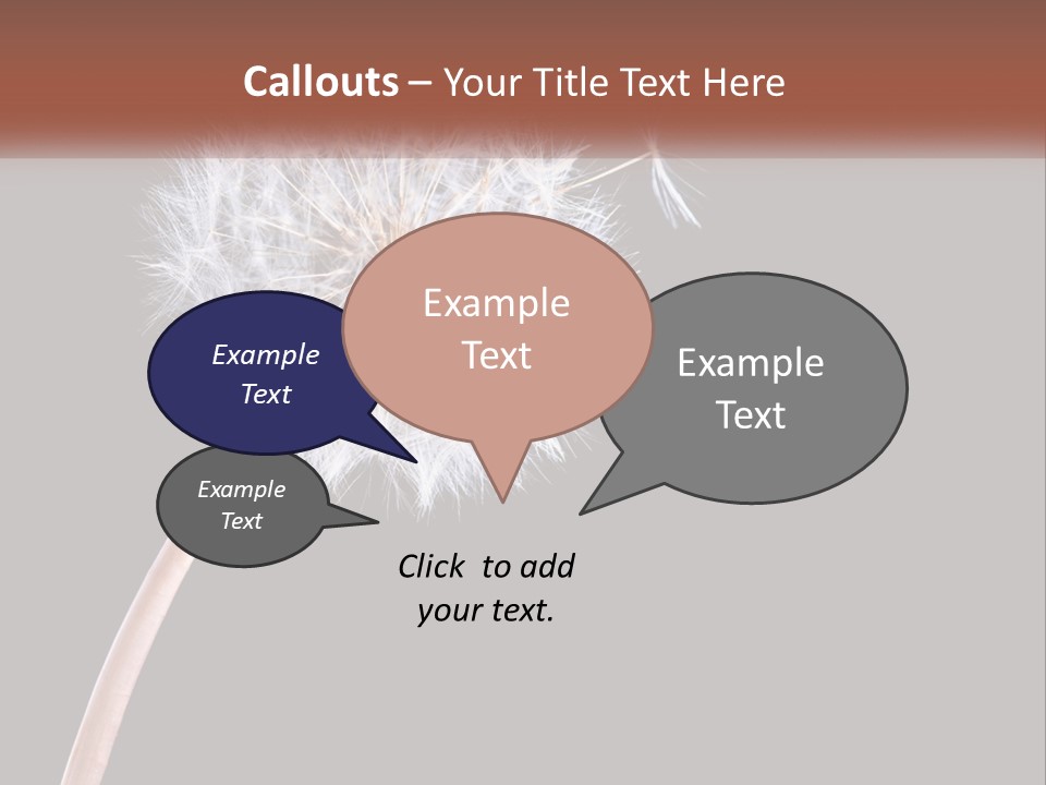 A Dandelion Powerpoint Presentation With A Black Background PowerPoint Template