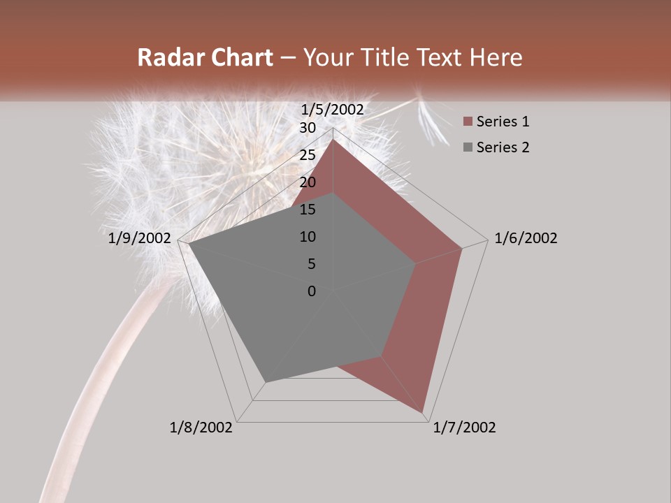 A Dandelion Powerpoint Presentation With A Black Background PowerPoint Template