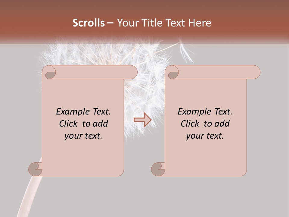 A Dandelion Powerpoint Presentation With A Black Background PowerPoint Template