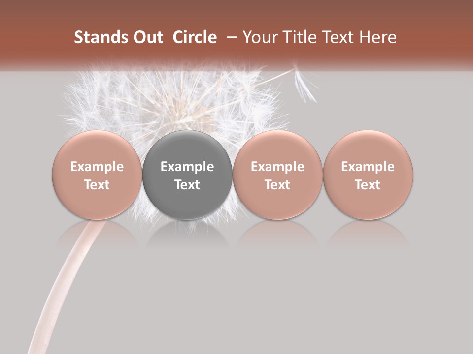 A Dandelion Powerpoint Presentation With A Black Background PowerPoint Template