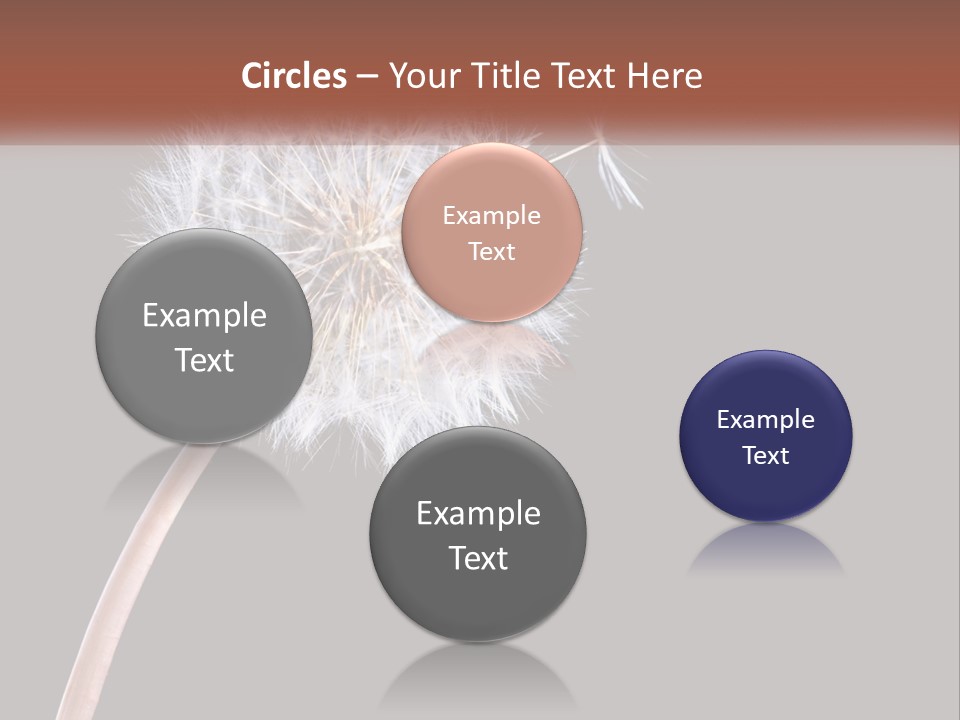 A Dandelion Powerpoint Presentation With A Black Background PowerPoint Template