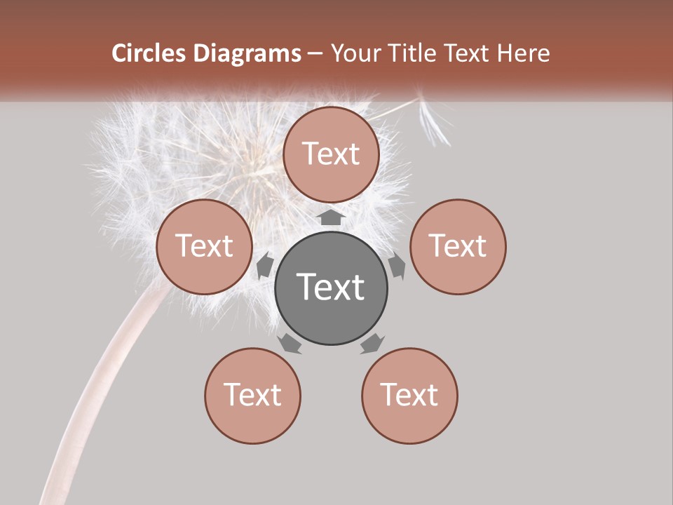 A Dandelion Powerpoint Presentation With A Black Background PowerPoint Template