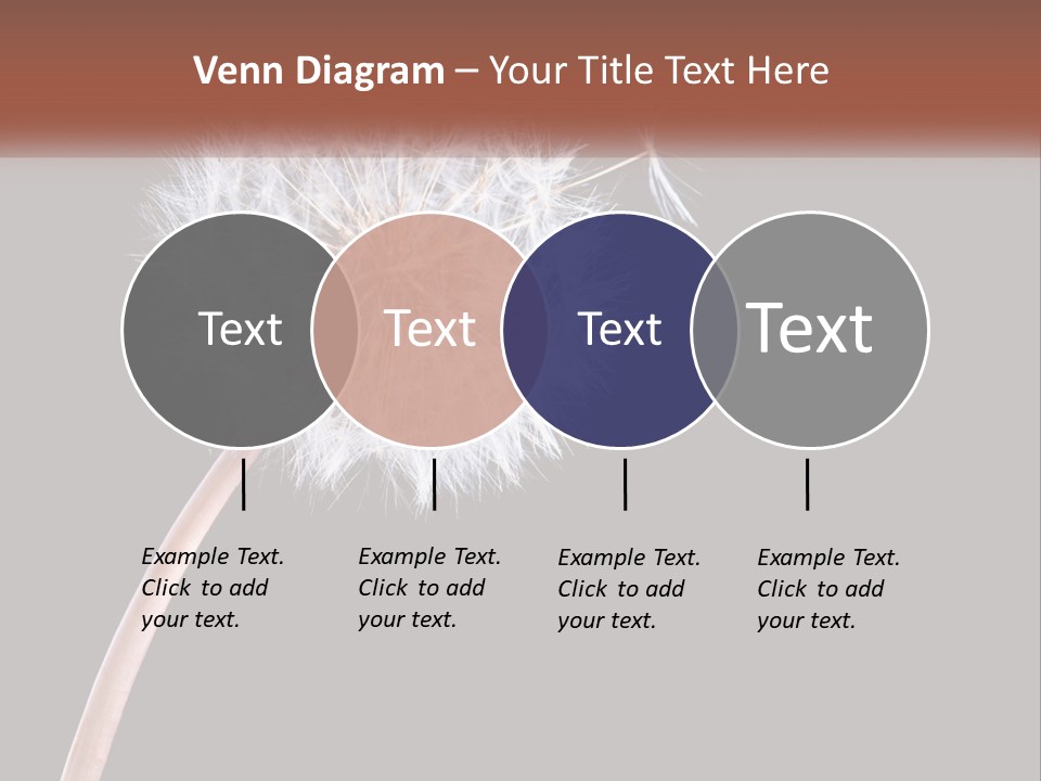 A Dandelion Powerpoint Presentation With A Black Background PowerPoint Template