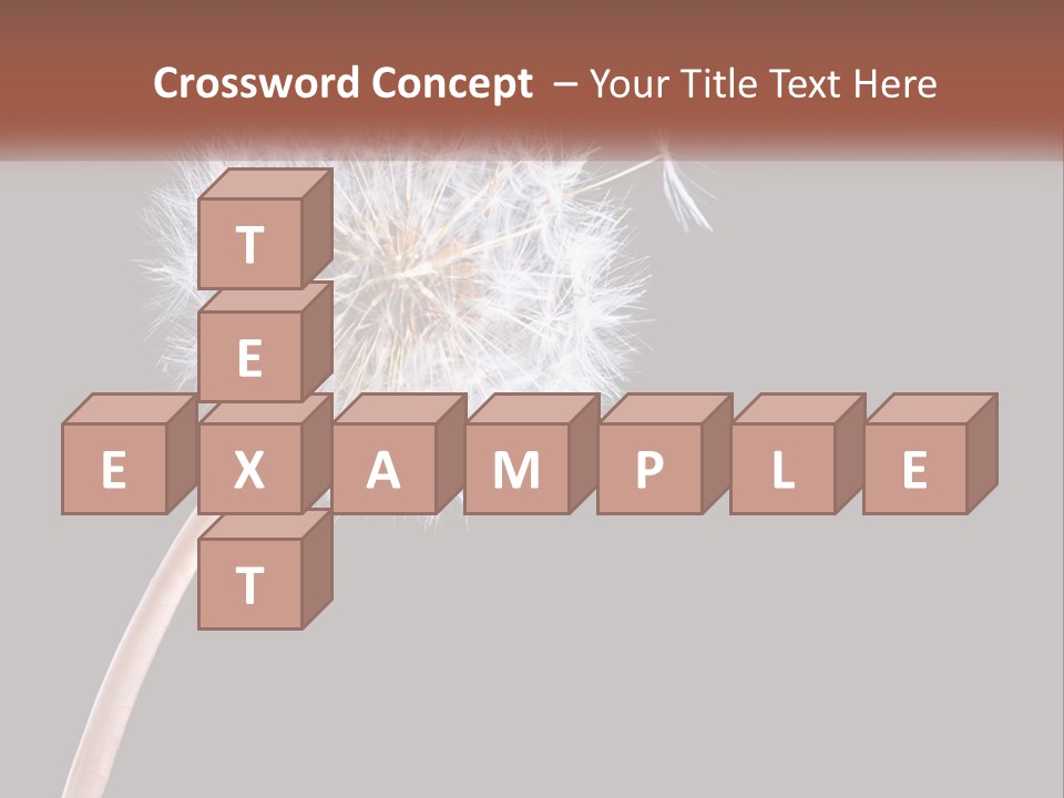 A Dandelion Powerpoint Presentation With A Black Background PowerPoint Template