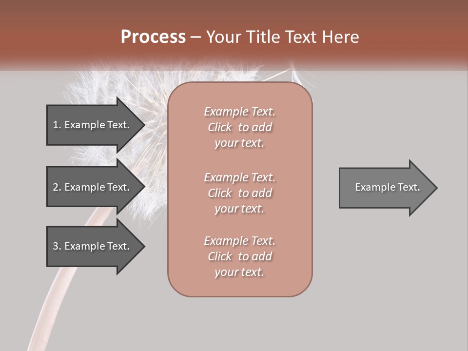 A Dandelion Powerpoint Presentation With A Black Background PowerPoint Template