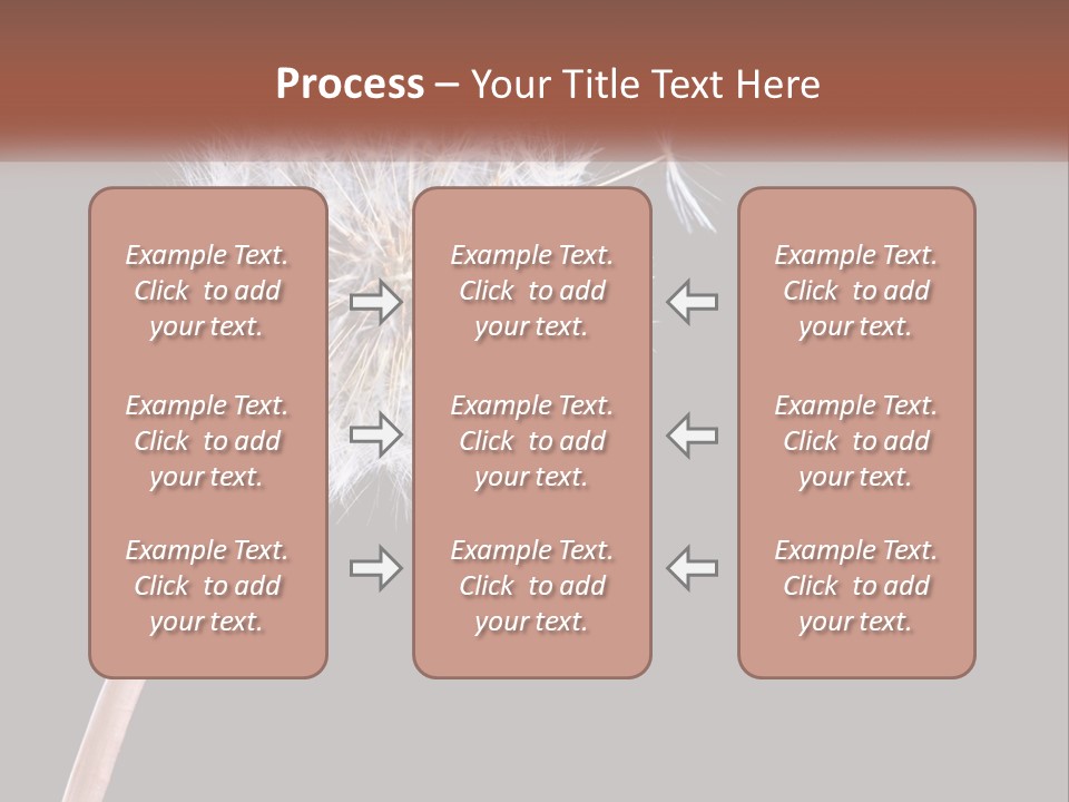 A Dandelion Powerpoint Presentation With A Black Background PowerPoint Template