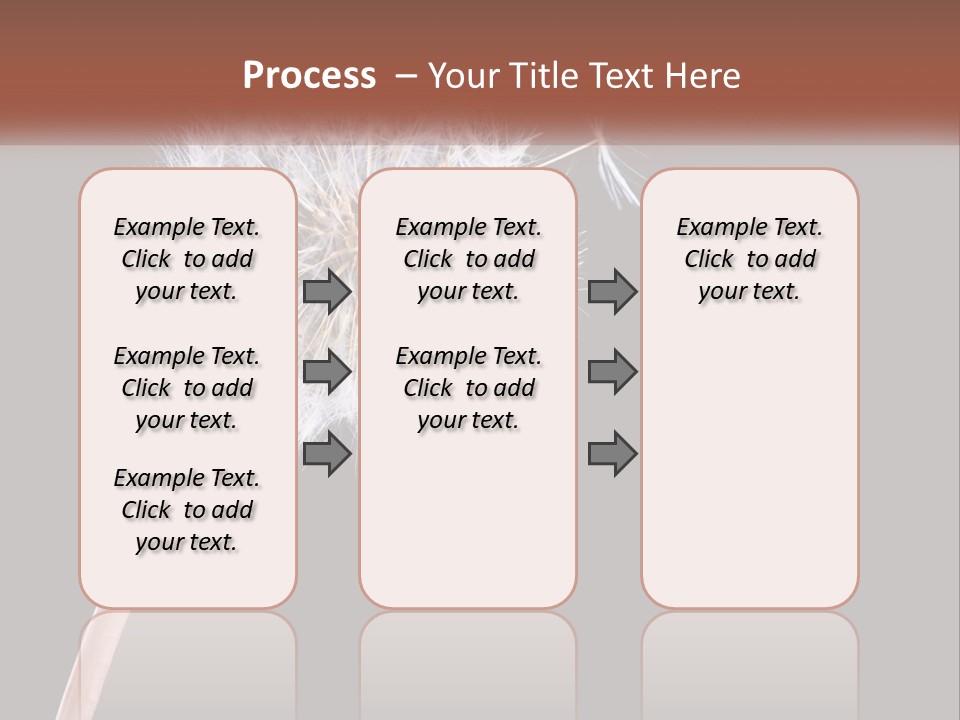 A Dandelion Powerpoint Presentation With A Black Background PowerPoint Template