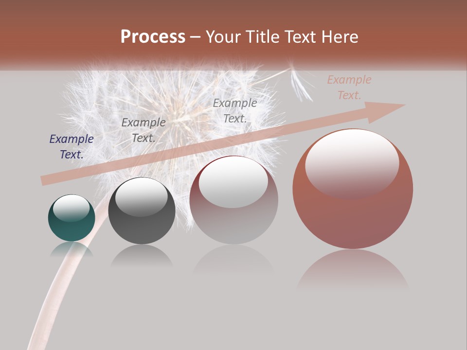 A Dandelion Powerpoint Presentation With A Black Background PowerPoint Template