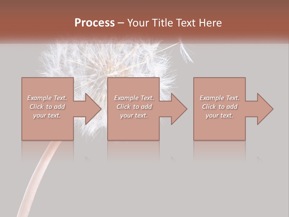 A Dandelion Powerpoint Presentation With A Black Background PowerPoint Template