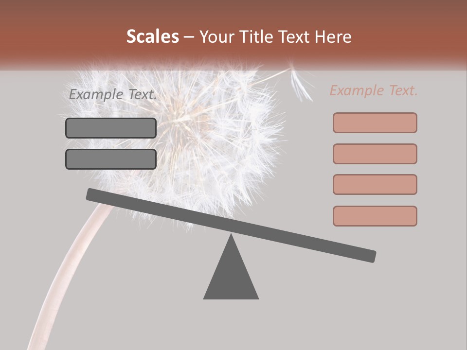 A Dandelion Powerpoint Presentation With A Black Background PowerPoint Template