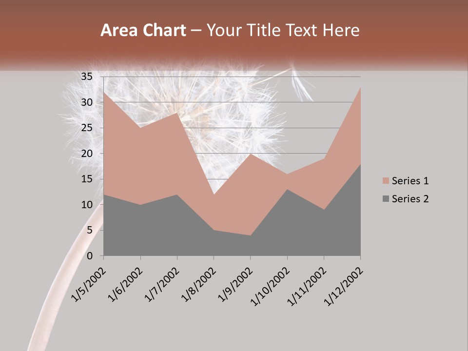 A Dandelion Powerpoint Presentation With A Black Background PowerPoint Template