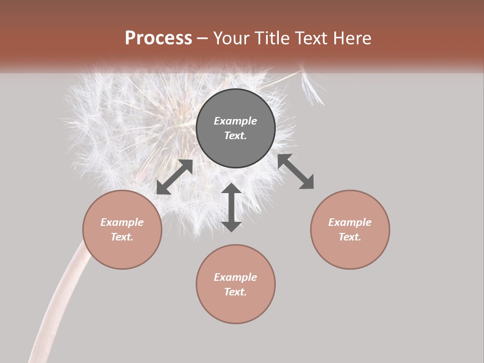 A Dandelion Powerpoint Presentation With A Black Background PowerPoint Template