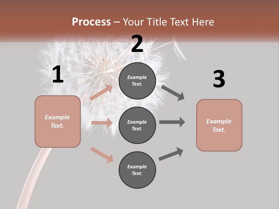 A Dandelion Powerpoint Presentation With A Black Background PowerPoint Template