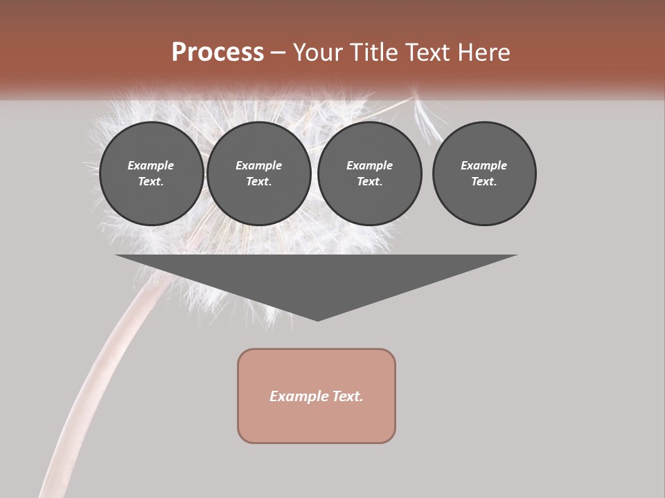 A Dandelion Powerpoint Presentation With A Black Background PowerPoint Template