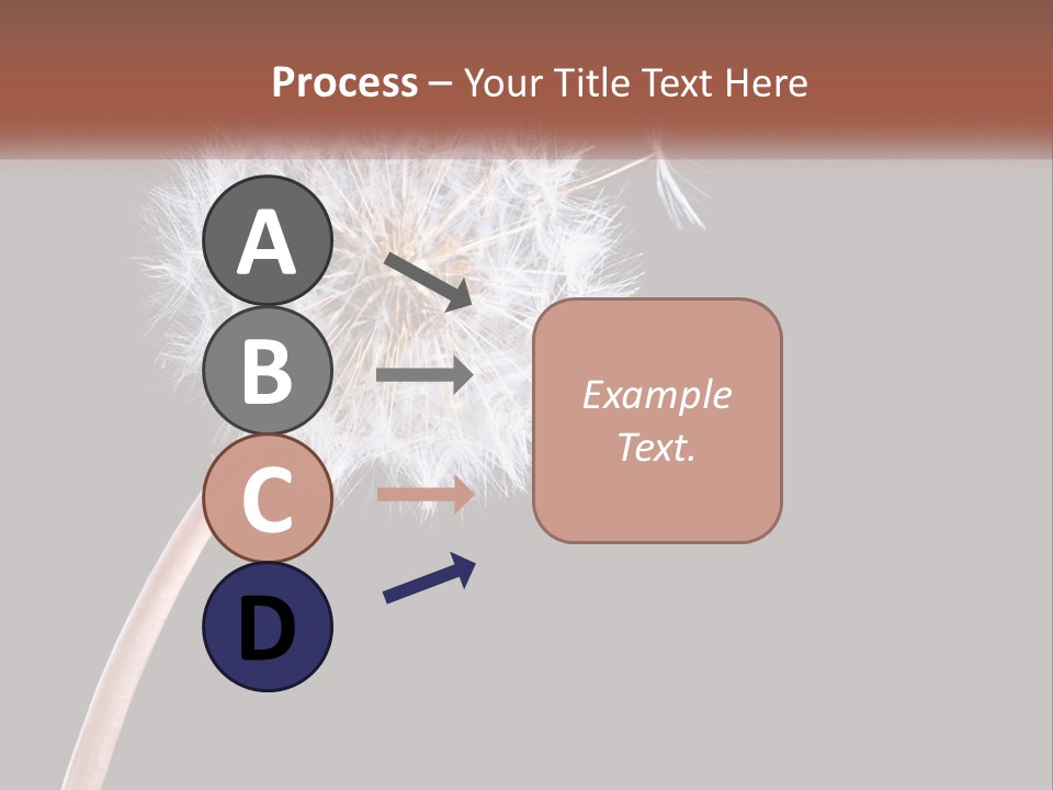 A Dandelion Powerpoint Presentation With A Black Background PowerPoint Template