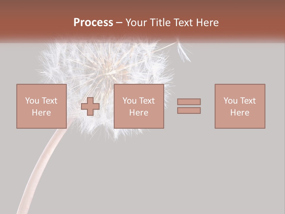 A Dandelion Powerpoint Presentation With A Black Background PowerPoint Template