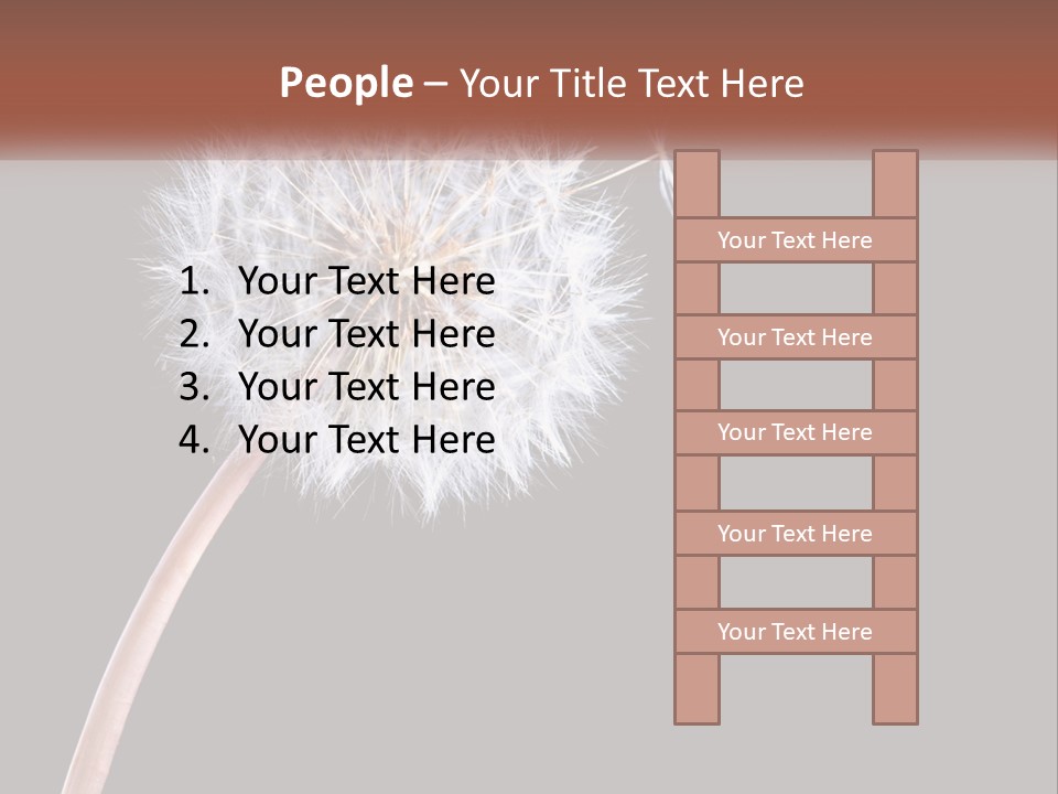 A Dandelion Powerpoint Presentation With A Black Background PowerPoint Template