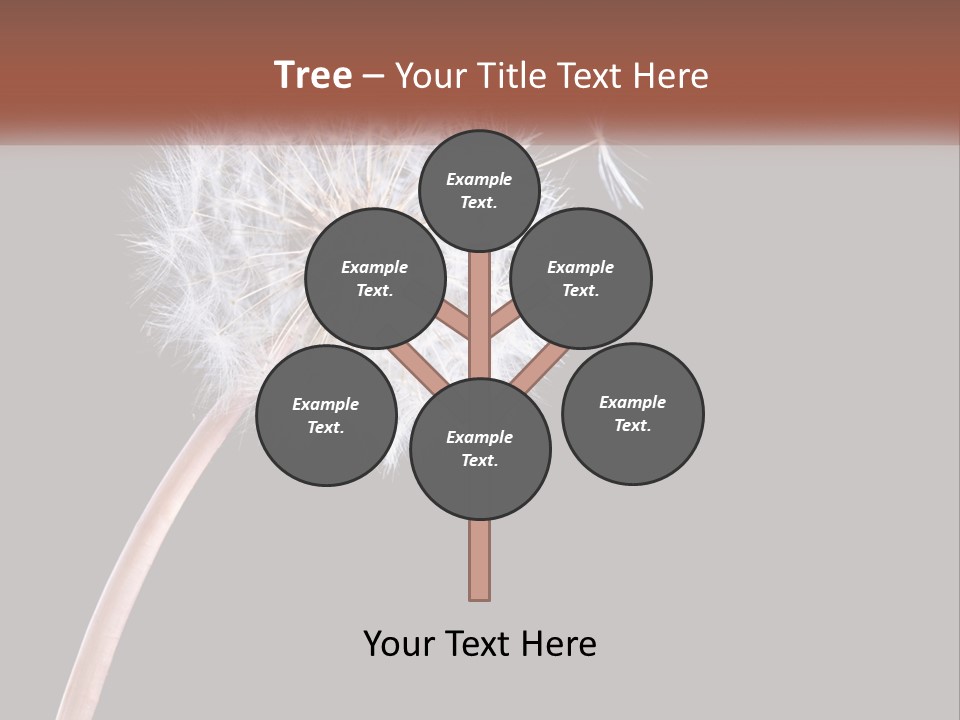 A Dandelion Powerpoint Presentation With A Black Background PowerPoint Template