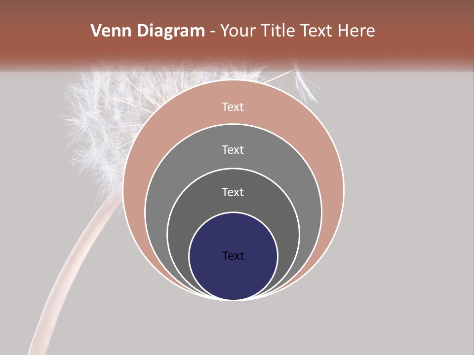 A Dandelion Powerpoint Presentation With A Black Background PowerPoint Template