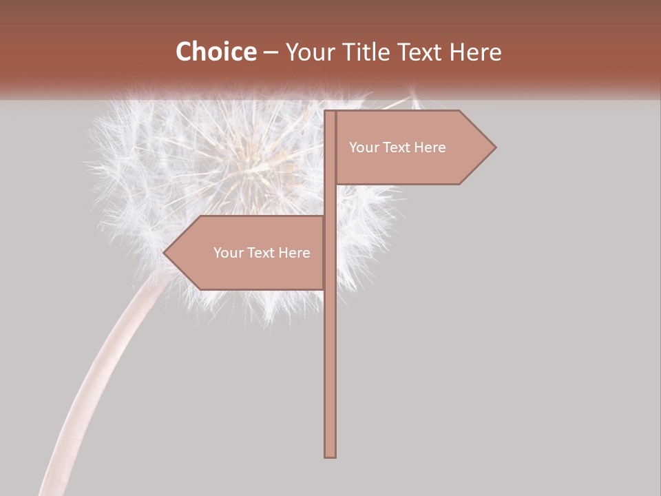 A Dandelion Powerpoint Presentation With A Black Background PowerPoint Template