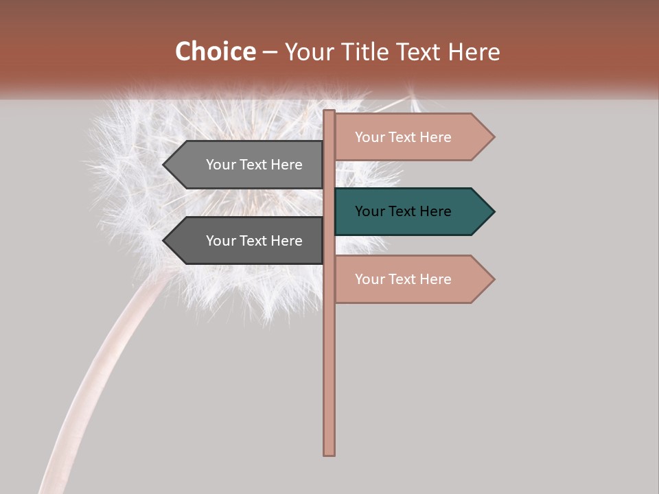 A Dandelion Powerpoint Presentation With A Black Background PowerPoint Template